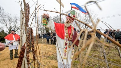 FOTO Radovi u vinogradima mogu početi: Udruga „Pinta” održala tradicionalno „Vincekovo”