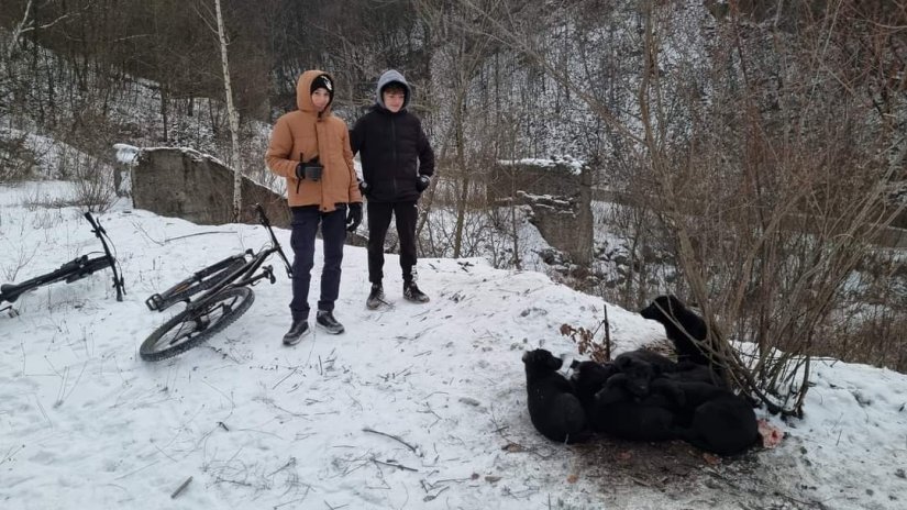 Dva mladića tijekom najhladnijeg dana siječnja spasili sedam odbačenih štenaca