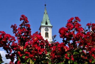 Grad Varaždin potiče građane na proizvodnju zdrave hrane