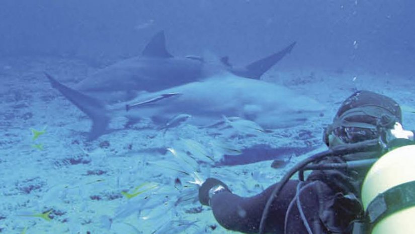 Varaždinski snimatelj Damir Chyitil proputovao cijeli svijet, ronio i s morskim psima na Kokosovim otocima
