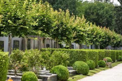 Parkovi pokreću analizu zdravstvenog stanja bilja na varaždinskom groblju