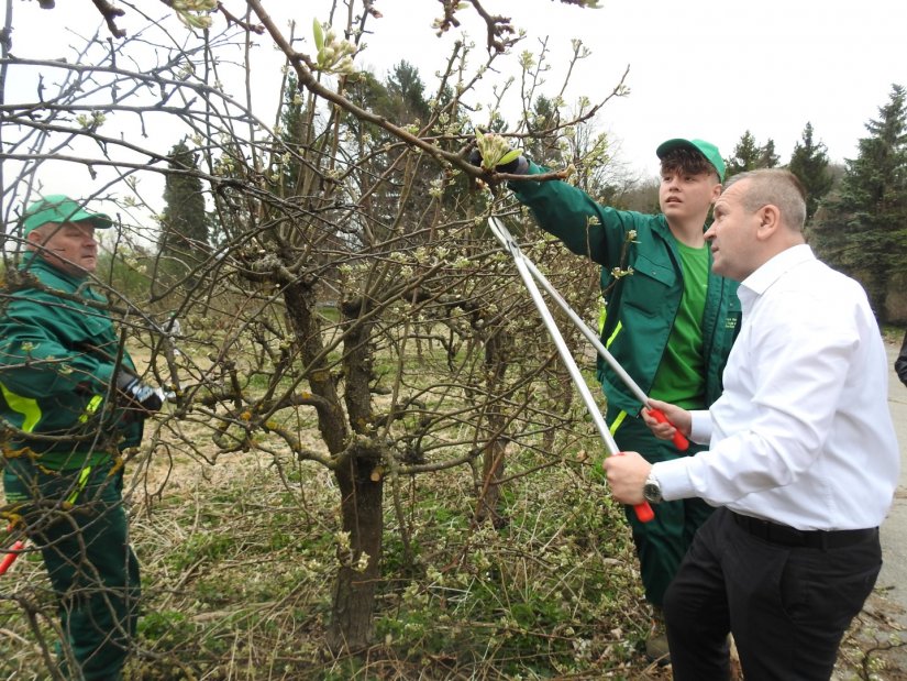 Učenici Srednje škole „Arboretum Opeka“ Marčan uređuju vanjski okoliš dvorca Šaulovec