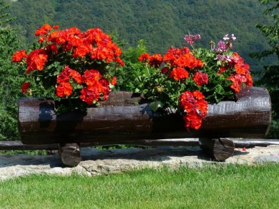 VRTLARIJA VIJENAC Rasadnik u Strahonincu nudi ukrasno bilje, cvijeće, ali i usluge sadnje i aranžiranja cvijeća