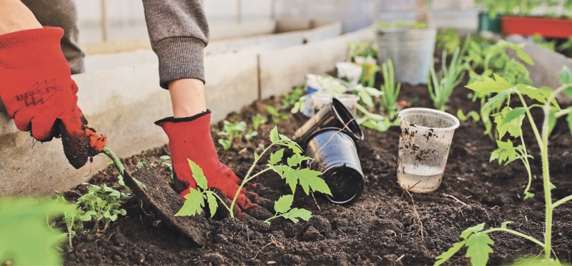 PRO-ECO d.o.o. Uzgoj vrta na ekološki način