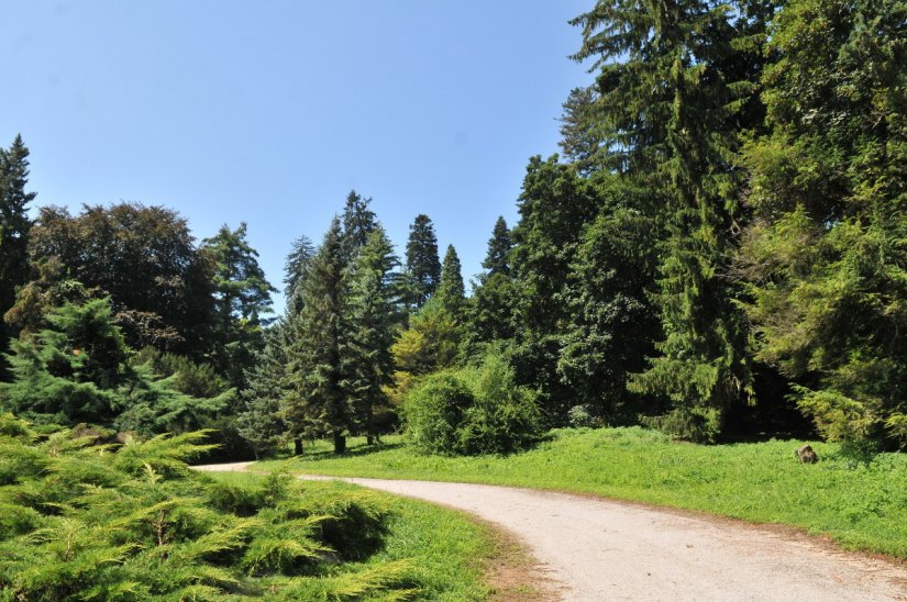 Od 23. do 27. svibnja niz besplatnih događanja u jedinstvenom Arboretumu Opeka