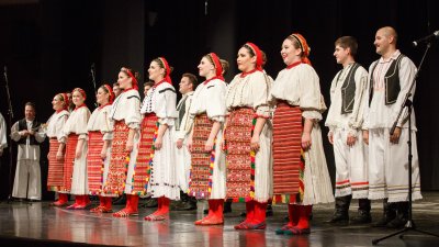 FESTIVAL &quot;SE TANCA? TANCA SE!&quot; Mladi folklorni koreografi, javite se!