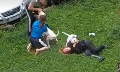 VIDEO Bul terijeri u Varaždinu ozlijedili ženu i njenog psa