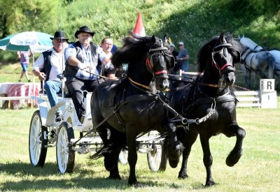 Dan kočija u Varaždinu: Ove subote gradom će zavladati zaprege i jahači