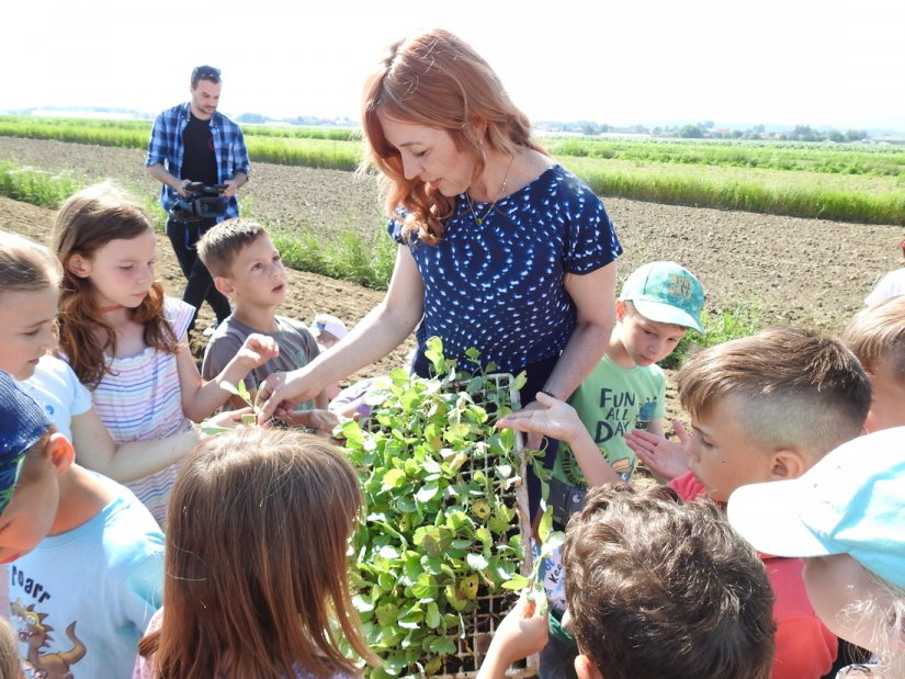 Predškolci iz Varaždina i Vidovca sadili sadnice Varaždinsko zelje