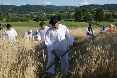 FOTO Veselo na Žetvenim svečanostima u Bisernoj dolini u Grešćevini