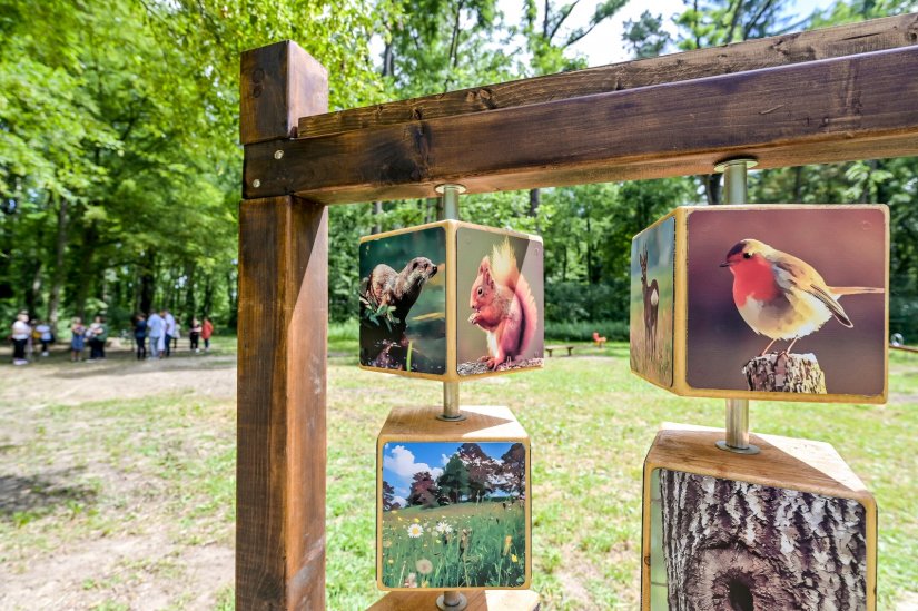 Završeni radovi na uređenju edukativnog dječjeg igrališta u Dravskoj park-šumi