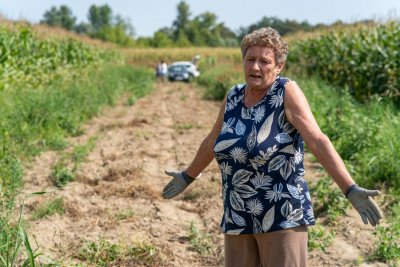 Tko na poljima krade poljoprivredne proizvode, koji su sve skuplji zbog suše i energenata?