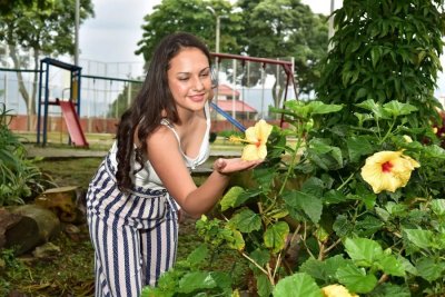 HIBISKUSI Stručnjaci se slažu, to je jedan od najljepših kasnocvatućih grmova