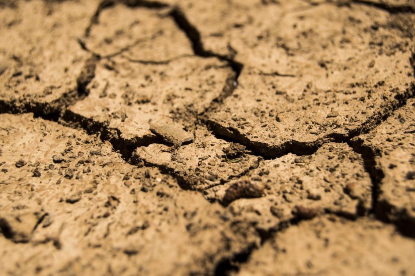 Župan proglasio prirodnu nepogodu zbog suše na području općine Beretinec