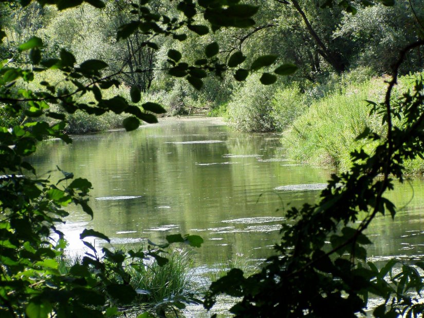 Godišnjica je proglašenja petodržavnog UNESCO rezervata biosfere Mura – Drava - Dunav