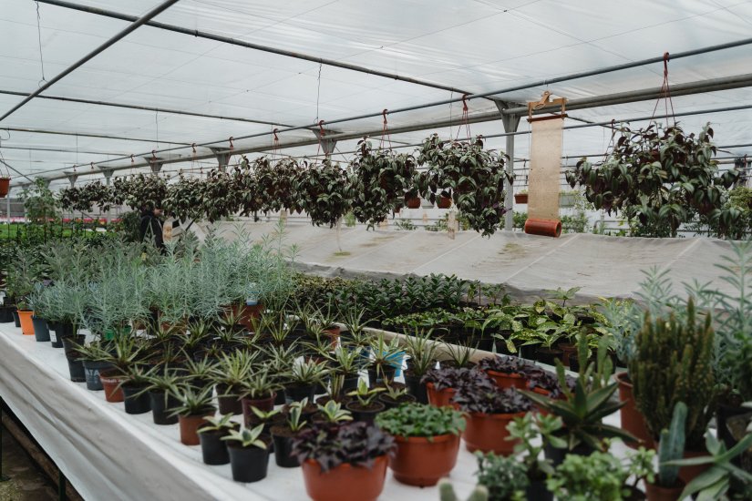 Počinje &quot;Agrofest&quot;:  Među izlagačima proizvođači cvijeća, pčelari, traktori i poljoprivredna mehanizacija...