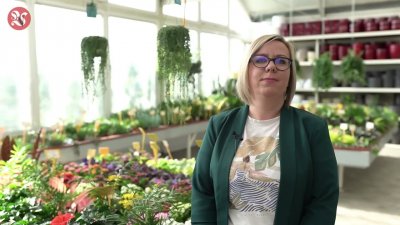 VIDEO Vrtni centar Iva nudi bogatu ponudu kvalitetnih sadnica