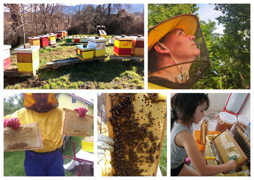 Pčelari privatno, ali i u društvu lepoglavskih zatvorenika: &quot;Pčele opuštaju – nekad i popričamo&quot;