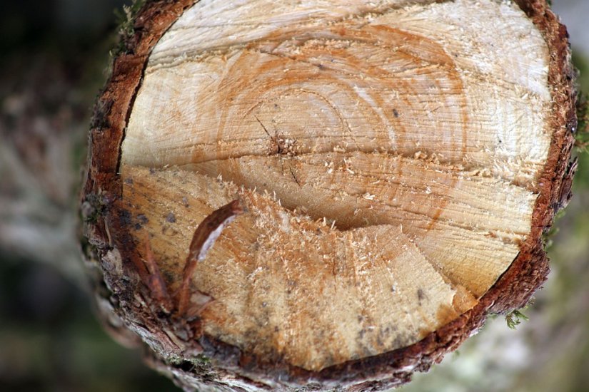 Obećao drva za grijanje, dobio novac i na kraju prevario četiri osobe