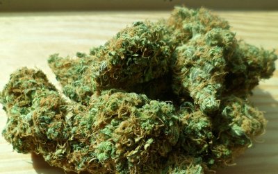 U Ivancu pretresli dvije kuće u vlasništvu 68-godišnjaka, našli 750 grama marihuane