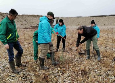 FOTO Na šljunčari u Sračincu spašavali kebrač, biljku iz ledenog doba kojoj prijeti izumiranje