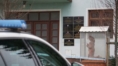 Socijaldemokrati osuđuju napad u Ivancu, traže ozbiljnu reformu sustava socijalne skrbi