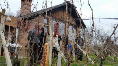 Voćansko Vincekovo: Da bi godina bila rodna, dođite po starim običajima zalijati trseke!