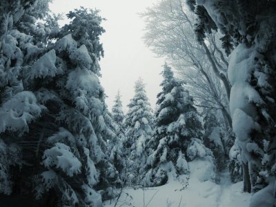 FOTO Na Ivančici prava snježna idila: &quot;Ako niste fizički spremni, izaberite stazu Mrzljak!&quot;