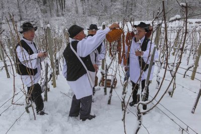 Udruge vinogradara Peharček Ivanec i Skrajski pajdaši Salinovec obilježile Vincekovo