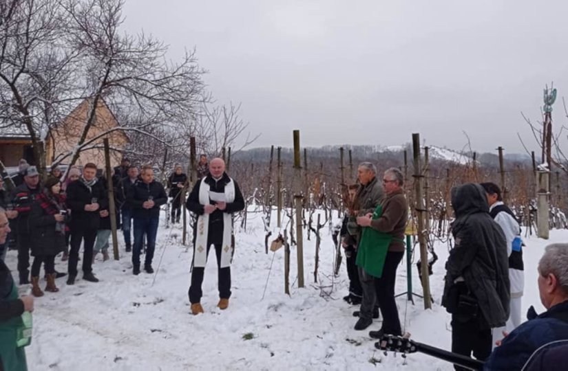 VIDEO Vincekovo na Lovrečan bregu Udruge vinogradara i vinara &bdquo;Sv. Martin&ldquo;