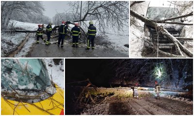 FOTO Mokri snijeg rušio stabla i električne stupove, neka mjesta još uvijek bez struje