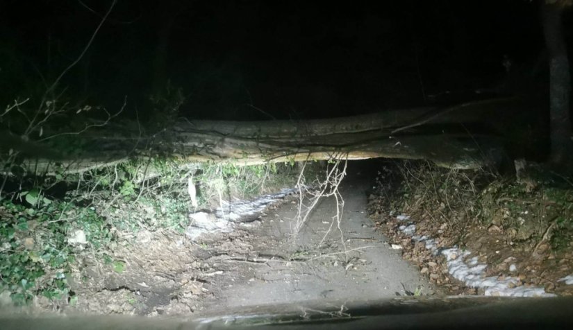 FOTO Više od 160 poziva Centru 112 Varaždin zbog rušenja stabala na vodove i ceste
