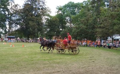 Udruga &quot;Konj, moj prijatelj&quot; promovira konjarstvo, konjički sport, ali i bogatu tradiciju ovog kraja