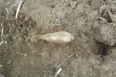 Na polju u Karlovcu Ludbreškom pronađena minobacačka mina iz Drugog svjetskog rata