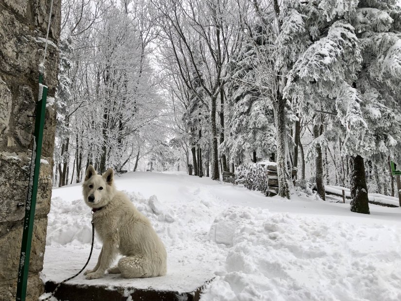 FOTO I Ivanščica se probudila okovana snijegom, prizori ostavljaju bez daha!