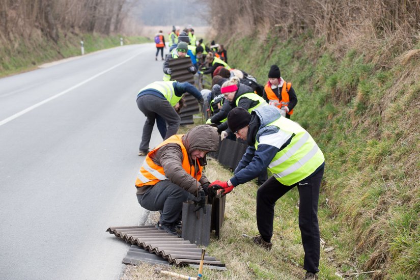 Prva akcija spašavanja vodozemaca: &quot;Volonteri, vidimo se na žabarenju!&quot;