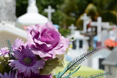 Na groblju u Svetom Petru iščupano 80 sadnica ukrasne biljke u vlasništvu općine