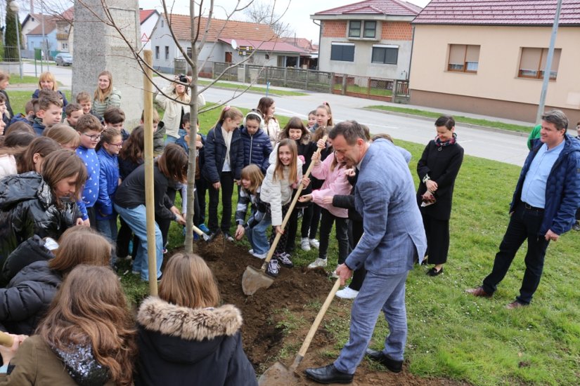 FOTO Novi drvored lipa u Biškupcu, najavljeni planovi budućeg ozelenjivanja grada