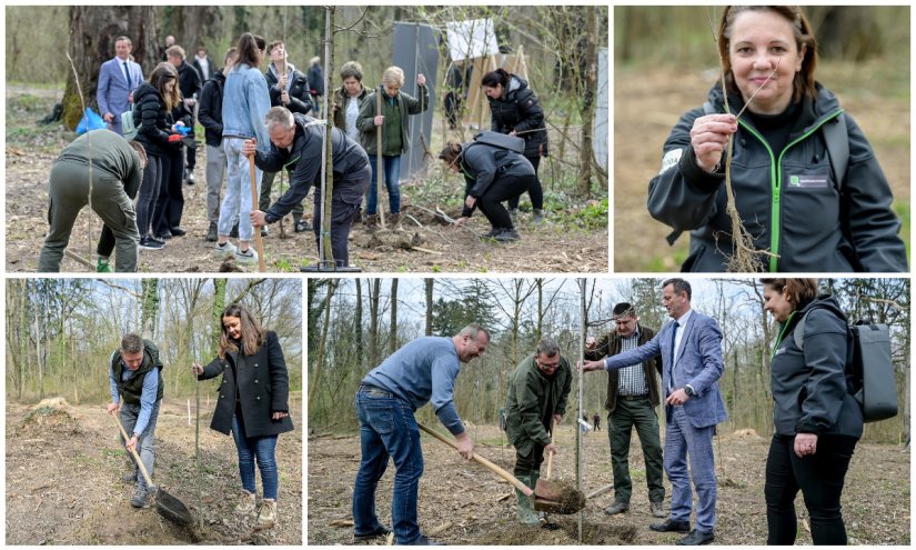 FOTO Uz Dan šuma: u Dravskoj park-šumi u Varaždinu zasađeno stotinjak stabala