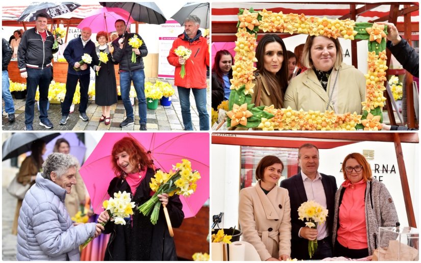 FOTO Podjelom narcisa obilježen Dan kojim se podiže svijest u borbi protiv raka dojke, mnogi podržali akciju