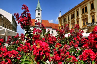 U Varaždinu se danas održavaju izvanredni izbori za Gradsko vijeće