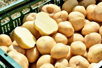 RAT OKO KRUMPIRA Dodlek-agro optužio ENNA Fruit za &quot;neprijateljsko preuzimanje&quot;, oni tvrde ponudili mu suradnju