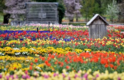 Dijelimo dvije obiteljske ulaznice za Arboretum Volčji potok u Sloveniji