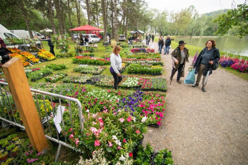 Grad Ludbreg priprema se za 26. Međunarodnu izložbu i sajam cvijeća “Flora Centrum Mundi”