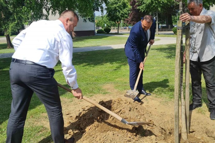 FOTO U Novom Marofu raste više od 220 novoposađenih stabala!