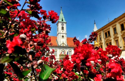 VARAŽDIN Mijenja se Odluka o komunalnom redu, javno savjetovanje do 18. lipnja