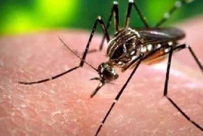 Dopuna obavijesti o provedbi adulticidne dezinsekcije komaraca na području Grada Varaždina