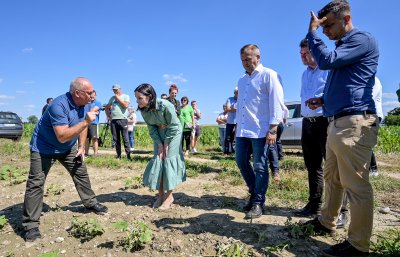 Proglašena prirodna nepogoda tuča, prema prvim procjenama šteta 2.250.000 eura