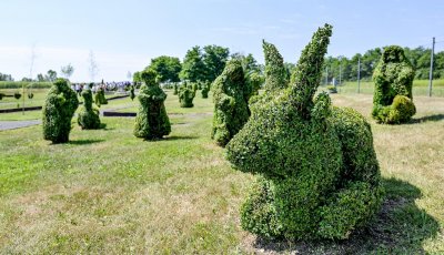 SRAČINEC Prvi rođendan Topiary parka uz druženje, domaće delicije i skriveno blago