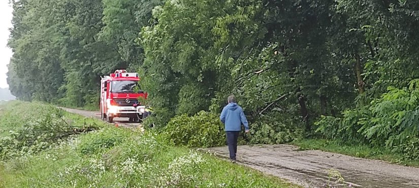 Zbog opasnosti od pada stabala zabranjen pristup Dravskoj park šumi!